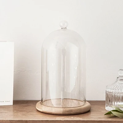 Afbeelding van Lights4fun Regelmatige Glazen Cloche Bell Jar Display Dome met Houten Basis 20.5cm