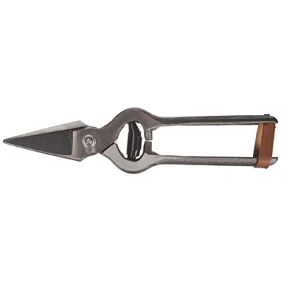Afbeelding van C.K T5720 Hoefschaar, 240 mm L