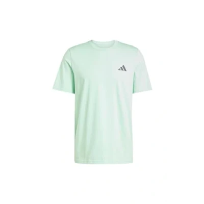 Afbeelding van adidas Originals Tshirt print Frozen green grey strata, Heren, Maat: Small, strata