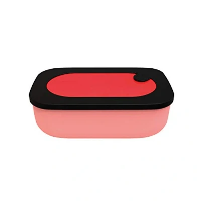 Afbeelding van Guzzini Store&amp;Go Lunchbox With Case &#039;On The Go&#039;, 20x12xh7 cm 900 cc (Container 11x8,5xh4,5 300 cc)