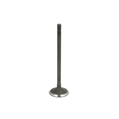 Afbeelding van Freccia Inlaatklep R6821/SNT