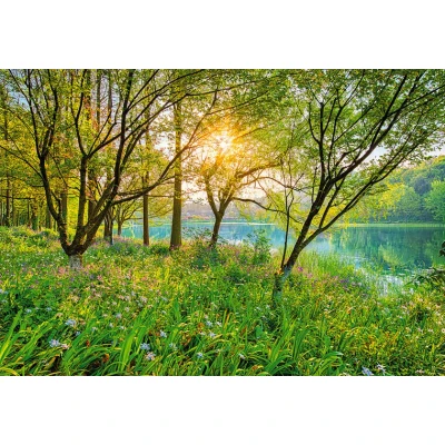 Afbeelding van Komar Fotobehang Scheerlijn Lake 368x254 cm (breedte x hoogte), inclusief pasta (set)