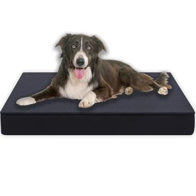 Afbeelding van MyBestBuddy Hondenkussen premium met 8 cm massief schuimkern, grijs, 120x80 XXL, hondenbed zachte stoffen overtrek, wasbaar op 40 C, hondenmat voor zeer grote honden, ca. dik, 120 x 80