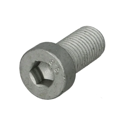 Afbeelding van Schroef AUGER 71861