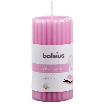 Afbeelding van Bolsius Stompkaars geur 120/58 true scents magnolia 1 stuks