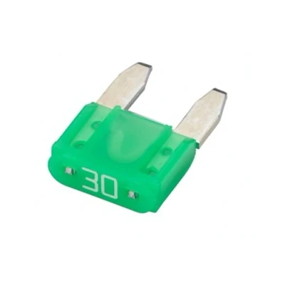 Afbeelding van HELLA VALUEFIT zekering Mini platte 30A Groen Aantal: 5 8JS 728 596 851