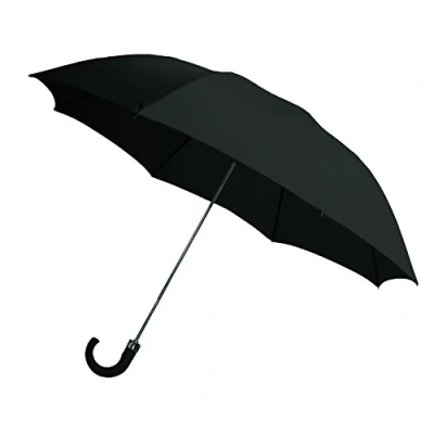 Afbeelding van Rainbrella 2 Fold Auto Open Paraplu met Opberghoes en Plastic Haak Handvat, Zwart, 42&quot;