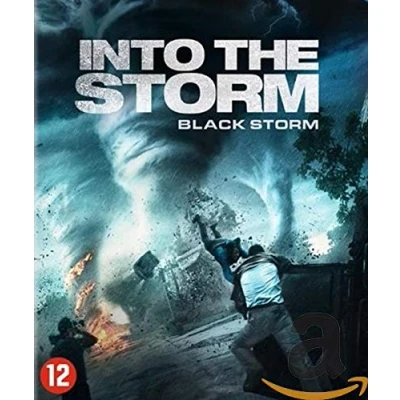 Afbeelding van Into the storm