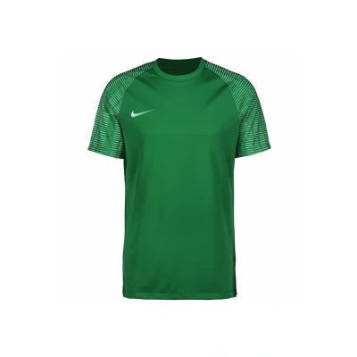 Afbeelding van Nike Performance Academy Sport Tshirt, Heren, Maat: Small, Pine green hyper verde white