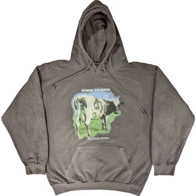 Afbeelding van Pink Floyd Atom Heart Mother Fade Hoodie/trui L Grijs