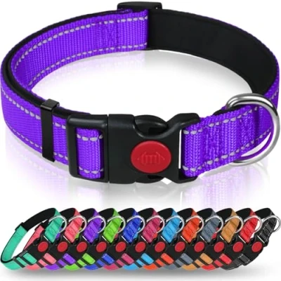 Afbeelding van Taglory Reflecterende nylon hondenhalsband met veiligheidsgesp, verstelbare halsband, zachte neopreen voering, voor puppy‘s, paars