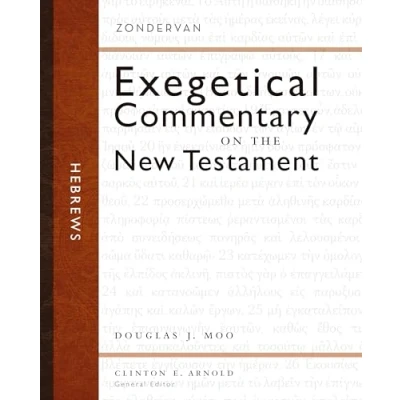 Afbeelding van Zondervan Exegetical Commentary on the New Testament Hebrews