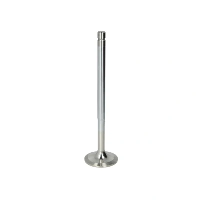 Afbeelding van Blic Spatbord 6505 06 9568001P