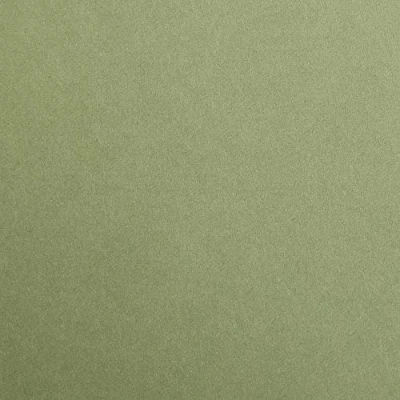 Afbeelding van Clairefontaine 397270C verpakking (met 125 vellen tekenpapier Maya, 50 x 70 cm, 270 g, glad, ideaal voor droogtechniek en inlijsting) kaki