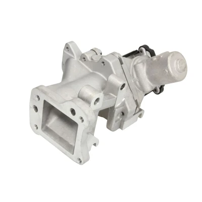 Afbeelding van Delphi Diesel EGR klep EG10437 12B1