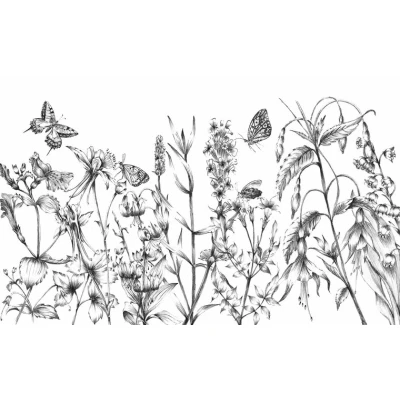 Afbeelding van Komar Vliesbehang Butterfly Field 400x250 cm (breedte x hoogte) (1 stuk)