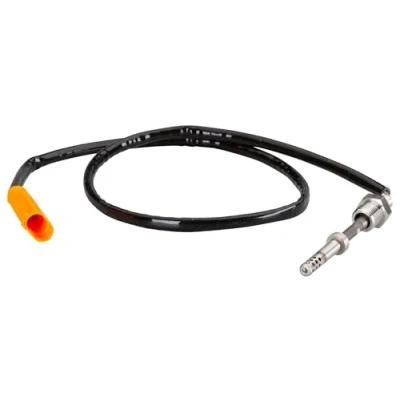 Afbeelding van Sensor, uitlaatgastemperatuur HELLA 6PT 010 376 101