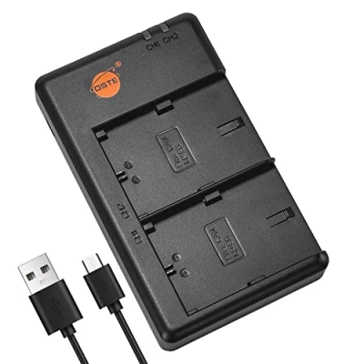 Afbeelding van DSTE LC E6E batterij USB dual quick lader compatibel met LP E6, E6n, EOS R, 5D Mark II, III, 5DS R,6D, 7D, 60D, 70D, 90D, 7D III camera