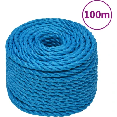 Afbeelding van vidaXL Werktouw 20 mm 100 m polypropeen blauw