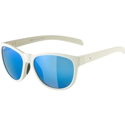 Afbeelding van Alpina Nacan II P Zonnebril, uniseks, Smoke Grey Matt, One Size