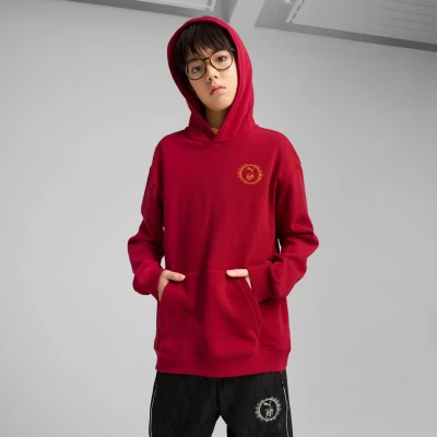 Afbeelding van Puma Harry Potter Graphic Hoodie voor kinderen, Maat: 140, Dark crimson