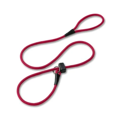 Afbeelding van Fenrir Slipriem 1,4 m professionele hondentrainingslijn om te stoppen met trekken, perfect voor wandelingen, gemakkelijk gebruiken, veerbelaste stop, lichtgewicht en duurzaam (rood)