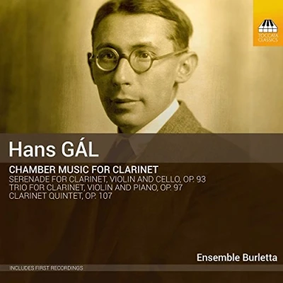 Afbeelding van Ensemble Burletta Chamber Music For Clarinet (CD)