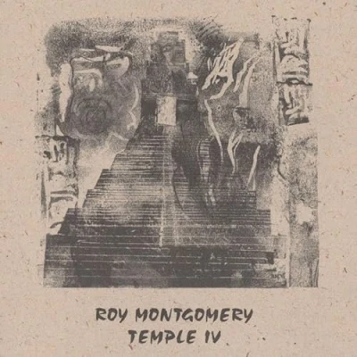 Afbeelding van Roy Montgomery Temple Iv (2 LPs)