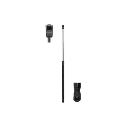Afbeelding van Magnum Technology Gasveer MGS2019