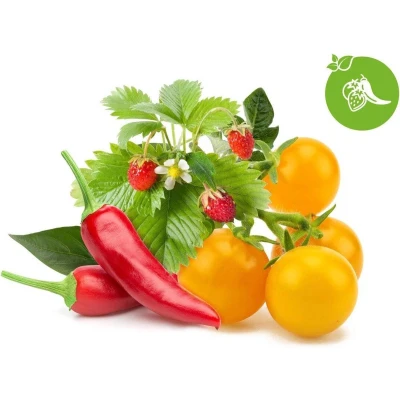 Afbeelding van Click &amp; Grow fruit veggie mix