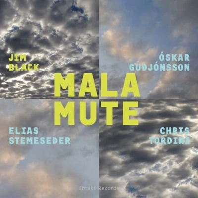Afbeelding van Jim Black, Óskar Gudjónsson, Elias Stemeseder, Chris Tordini Malamute (CD)