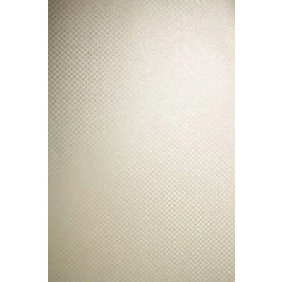 Afbeelding van Netuno 20x parel crème 250g karton DIN A4 210x297mm Aster metallic Cream Dots glanzend effect voor trouw uitnodigings visitekaartjes scrapbooking