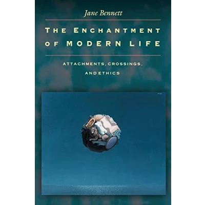 Afbeelding van The Enchantment of Modern Life: Attachments, Crossings, and Ethics