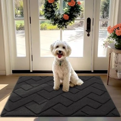 Afbeelding van Biscpro Deurmatten Binnen Duiten Schoonloopmat Vuilschraper,Antislip, Machinewasbaar,Waterabsorberend, entree deurmat voor voordeur, gang, entree, keuken, slaapkamer (Dark Grey, 80x120cm)