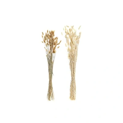 Afbeelding van Boeket DKD Home Decor Beige Bruin Gedroogde bloem (12 x 12 76 cm) (2 Stuks)