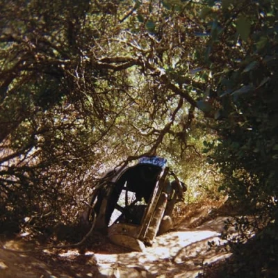 Afbeelding van Ty Segall Possession (LP)