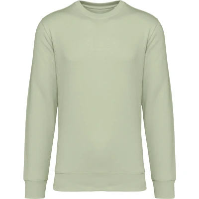 Afbeelding van Native Spirit Ecologische uniseks sweater met ronde hals NS400 Celadon Green