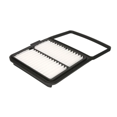 Afbeelding van Filtron Luchtfilter AP 170/2