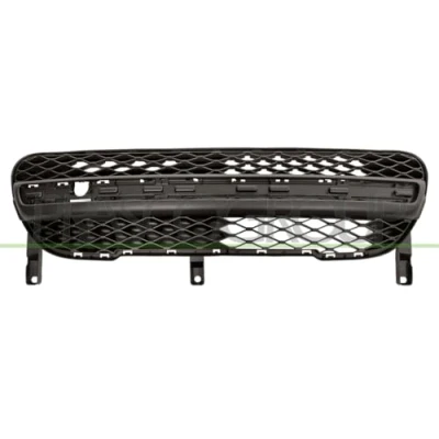 Afbeelding van Radiateurgrille PRASCO PG2022001
