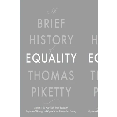 Afbeelding van A Brief History of Equality