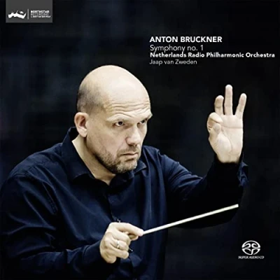 Afbeelding van Symphony No. 1 In C Minor