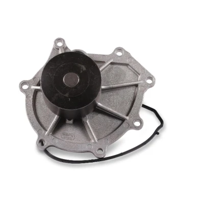 Afbeelding van Hepu Waterpomp P2601