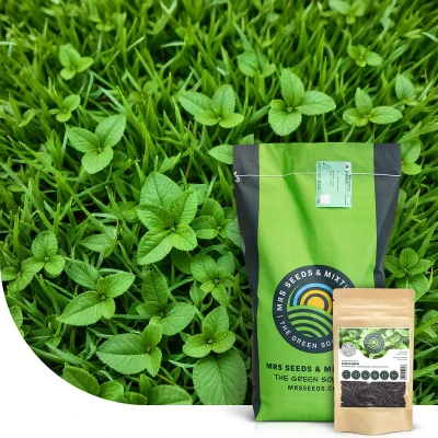 Afbeelding van Lemon Lawn Graszaad Anti Muggen Gazon 1 KG 40 m² MRS Seeds &amp; Mixtures