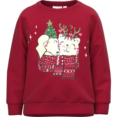 Afbeelding van NAME IT NMFVISMAS LS SWEAT BRU RR Meisjes Trui Maat 104