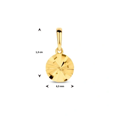 Afbeelding van goud (geelgoud) hanger rondje gediamanteerd 4024430