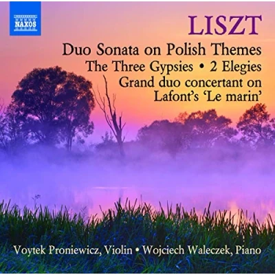 Afbeelding van Proniewicz, Voytek Waleczek, Wojciech Duo Sonata On Polish Themes (CD)