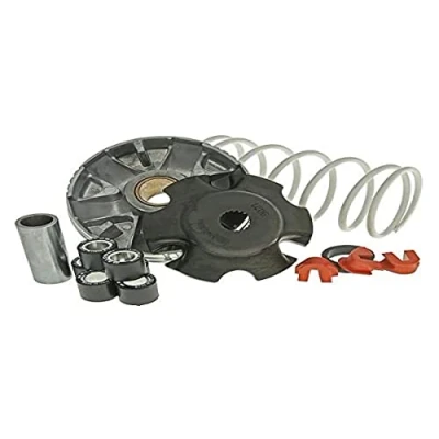 Afbeelding van Variator Malossi Multivar 2000 Piaggio Zip 4T 50cc, Liberty tegendrukveer: wit, gewichten: 19x15,5mm 6,10g