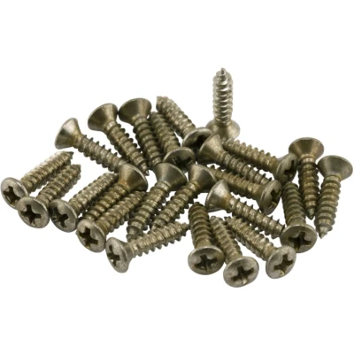Afbeelding van Fender Road Worn Pickguard/Control Plate Screws 24 pc. Gitaaronderdeel