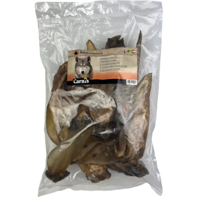 Afbeelding van Carnis Buffeloren met schelp, 10 stuks