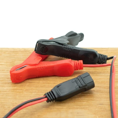 Afbeelding van KIT F1 kabel met flash connector en klemmen